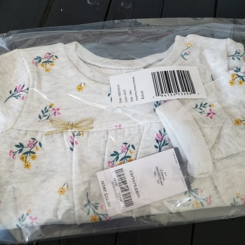 Carter's NWT Baby Girl 18 Month Two Piece Outfit Grey Floral Blue Stripe Legging - Picture 2 of 2
